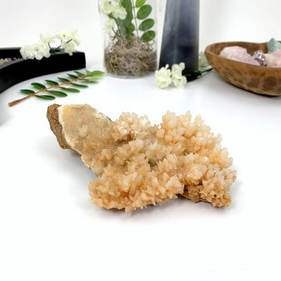 calcite druzy cluster on a white background