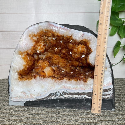 amethyst geode cave next to a ruler for size reference 