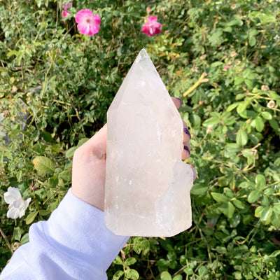 hand holding up Quartz Point With Crystal Growth with plants in the background