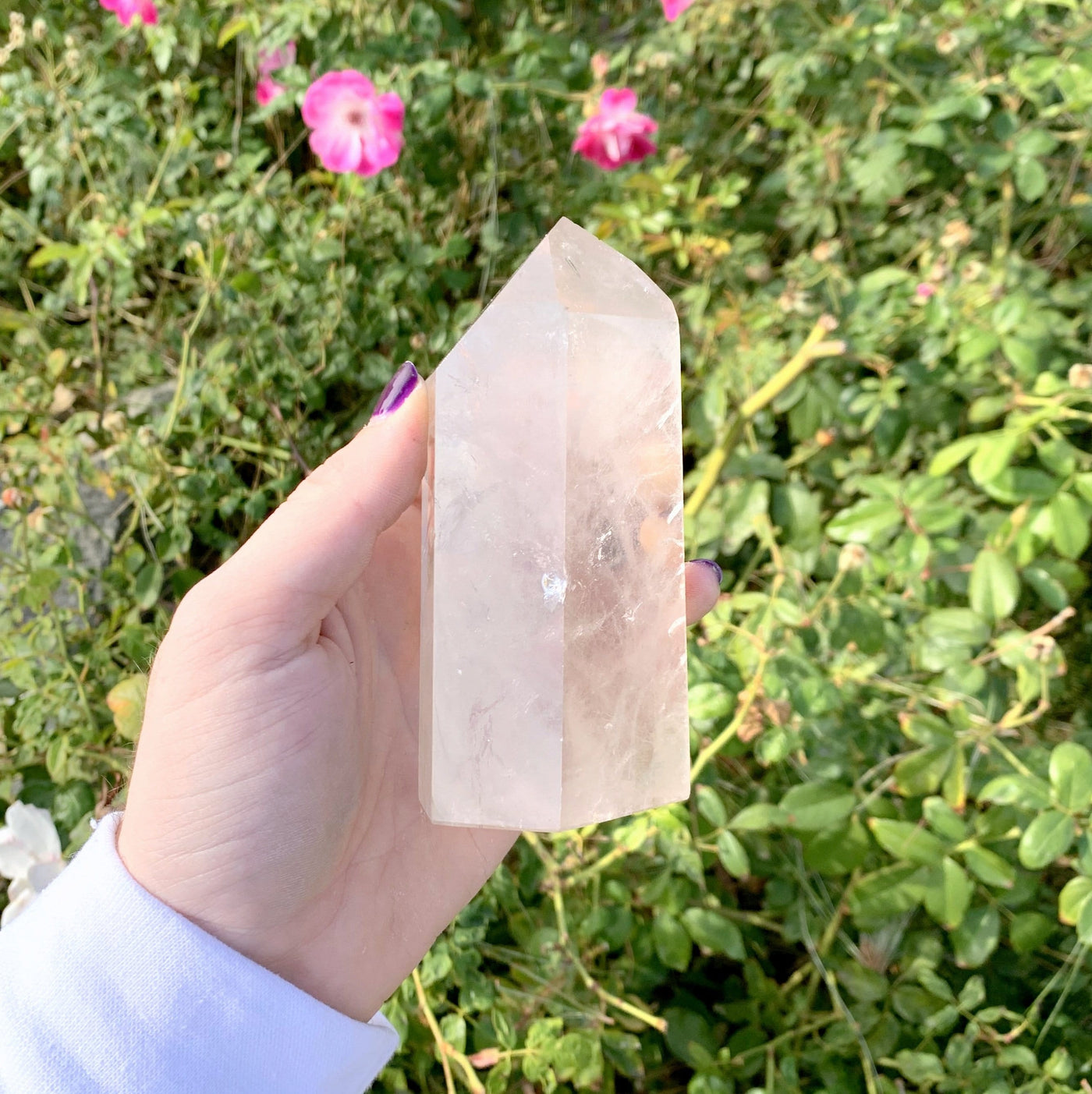 hand holding up Crystal Quartz Tower Point with plants in the background