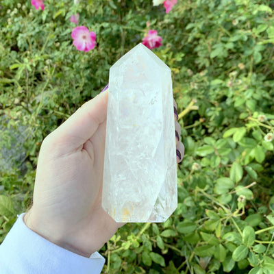 hand holding up Crystal Quartz Point with plants in the background