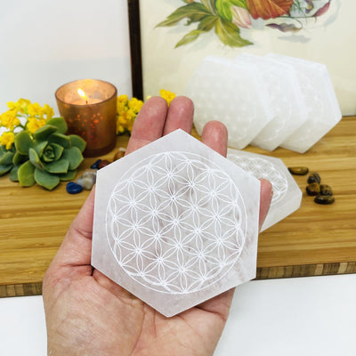 selenite hexagon engraved with flower of life in hand for size reference