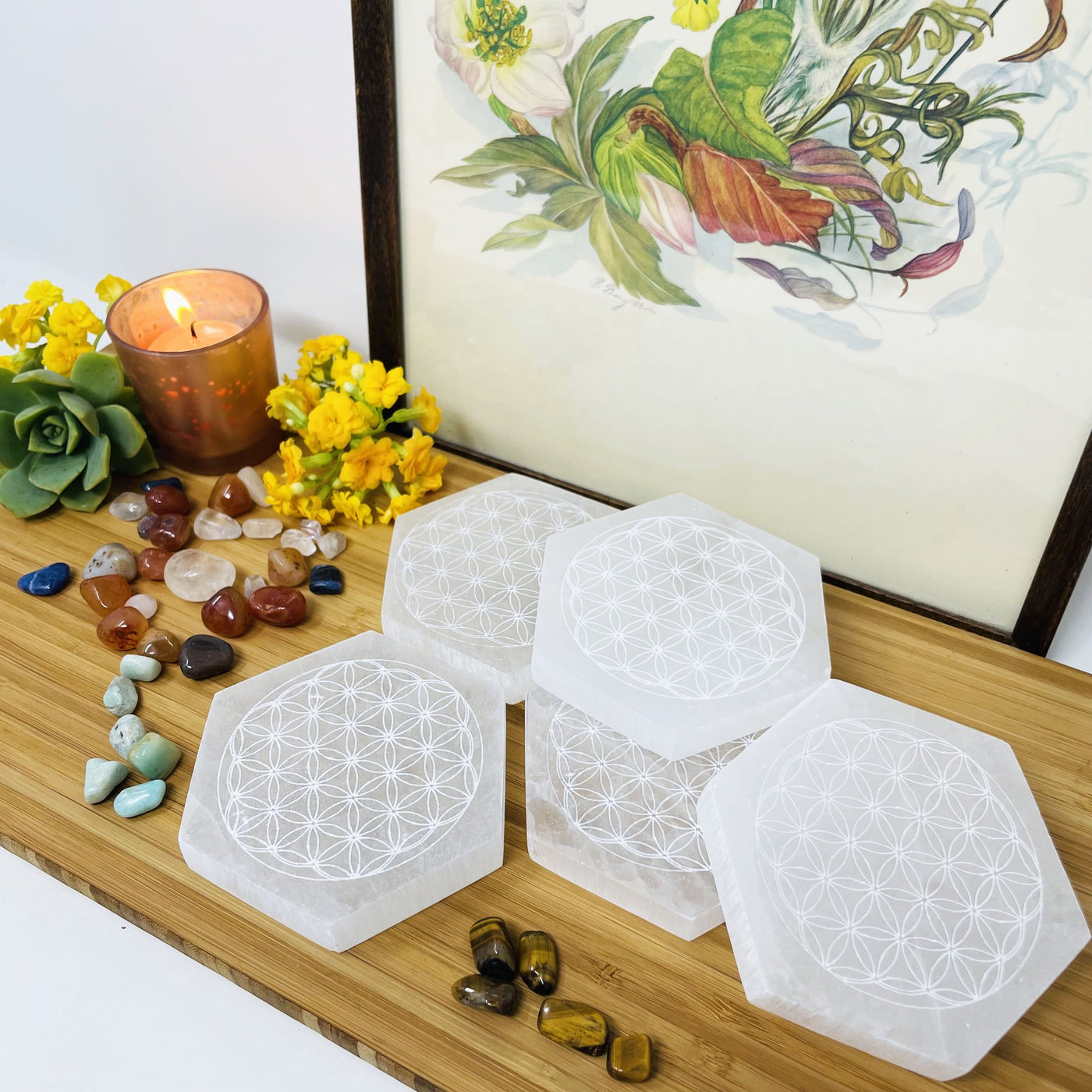 selenite hexagons engraved with flower of life on display
