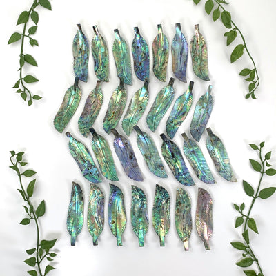 Multiple Abalone - Cut Feather Shape displayed in an alter displaying the front of the product.