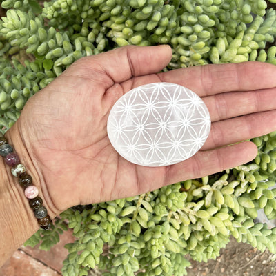 selenite flower of life engraved palm stone in hand for size reference