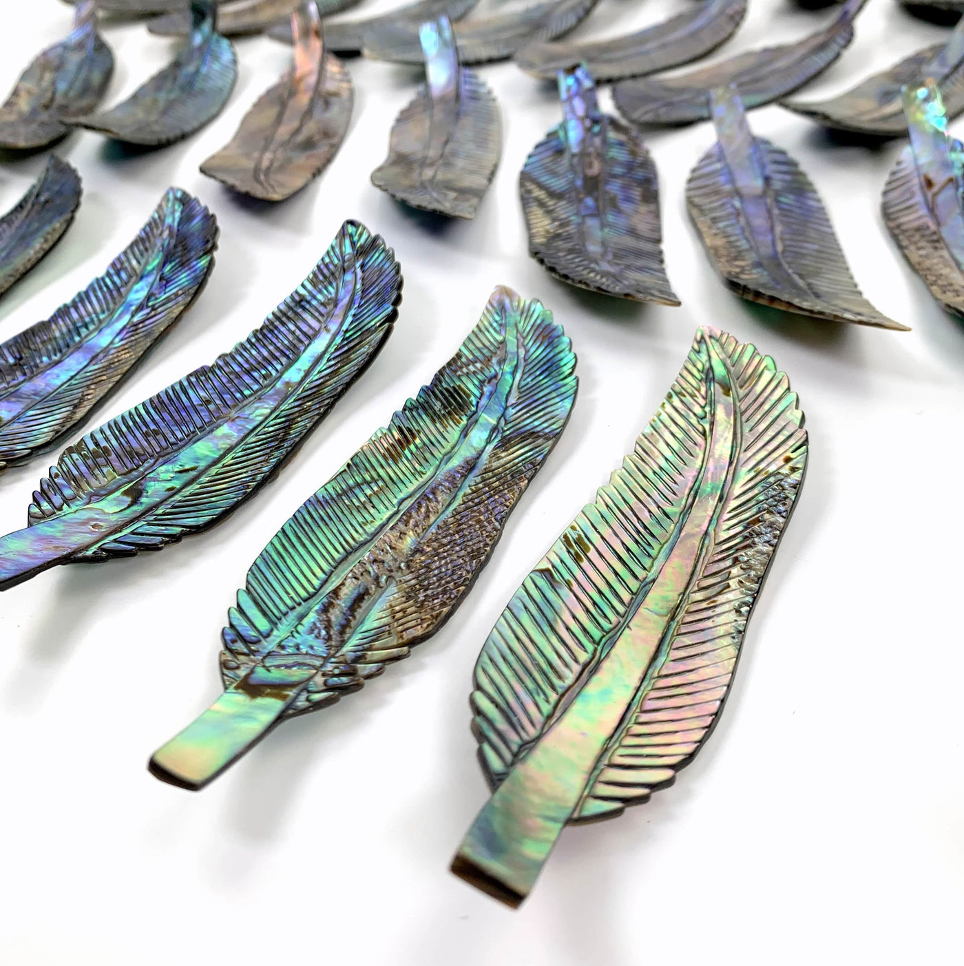A close up of multiple Abalone - Cut Feather Shape displaying the front side from the right-hand side.