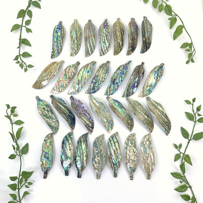 Multiple Abalone - Cut Feather Shape displayed in an alter displaying the back of the item.