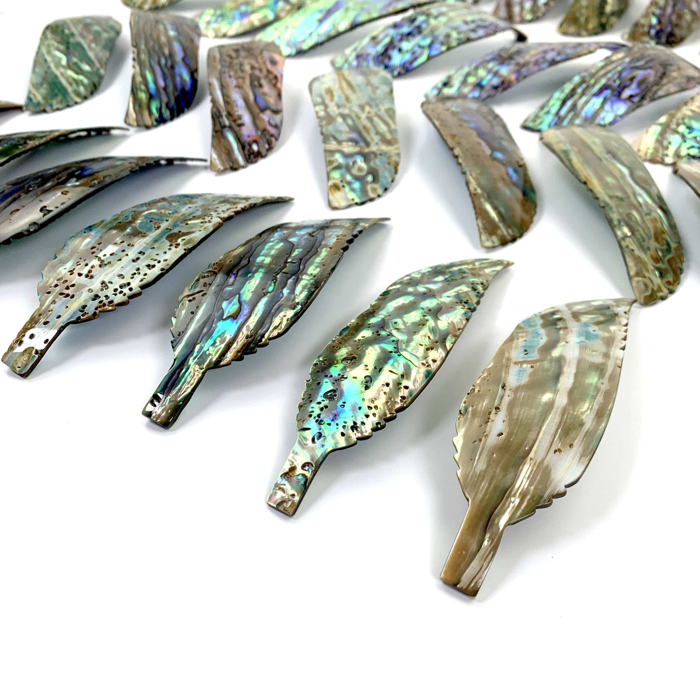 A close up of multiple Abalone - Cut Feather Shape displaying the back side from an angle.
