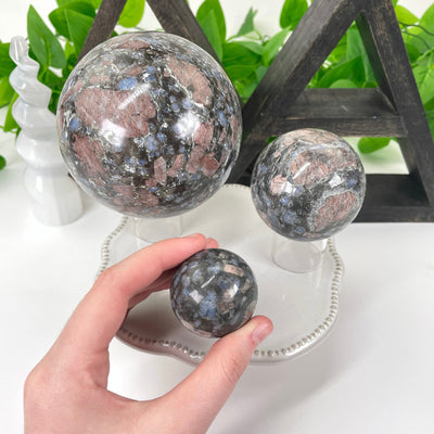 three different rhyolite polished sphere weights on display in front of backdrop for size comparison with one in hand