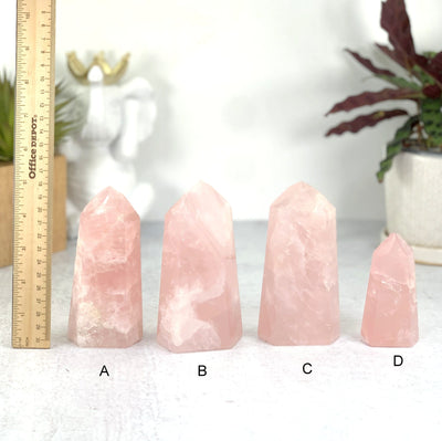 Ruler comparing size to the Rose Quartz Polished Points Towers