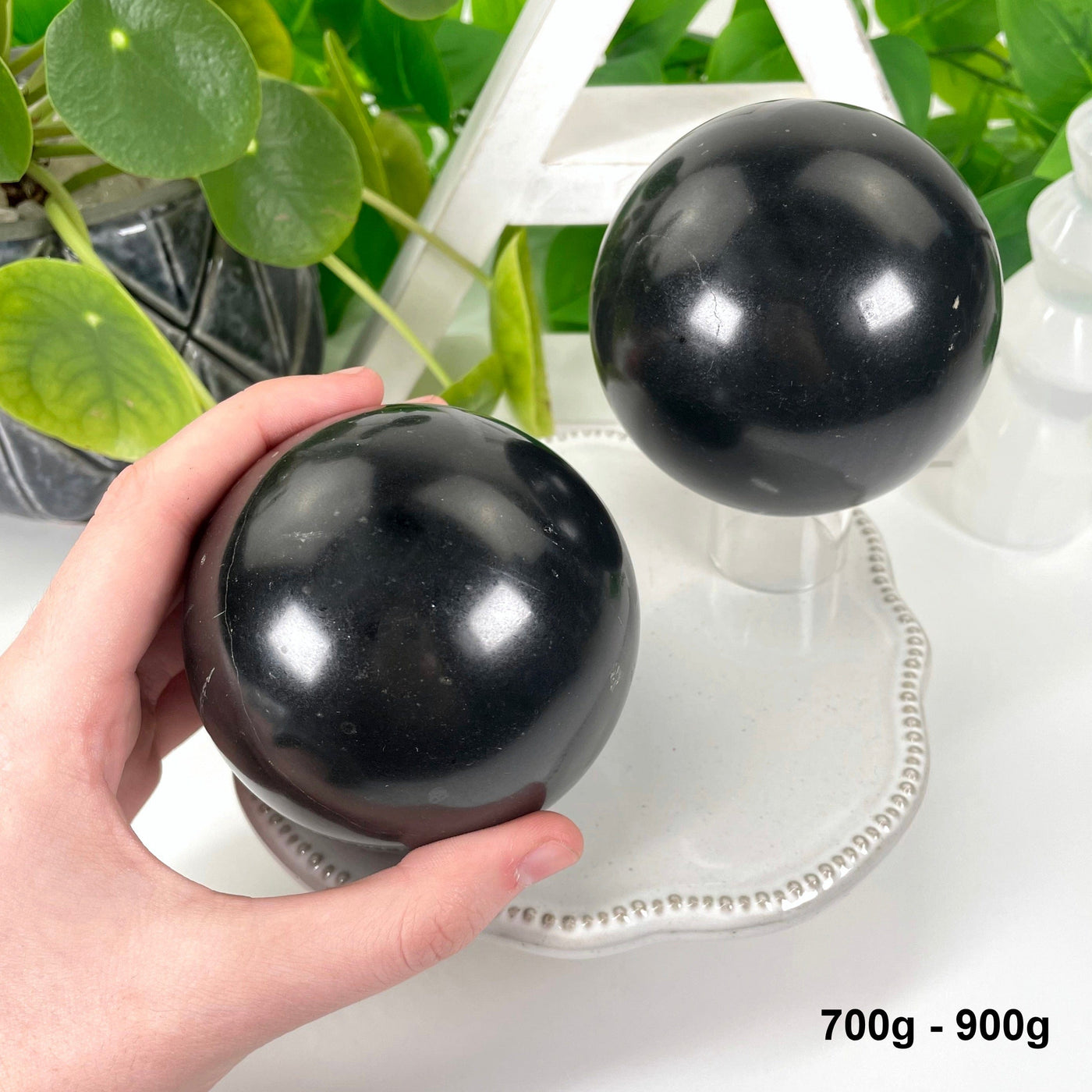 two 700g - 900g black tourmaline polished spheres on display in front of backdrop for possible variations with one in hand for size reference