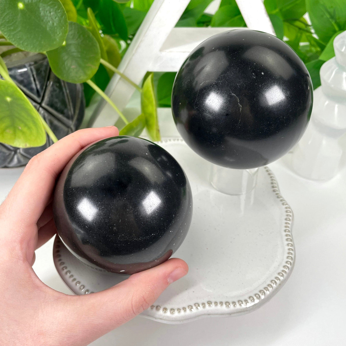 two different black tourmaline polished sphere weights on display in front of backdrop for size comparison with one in hand