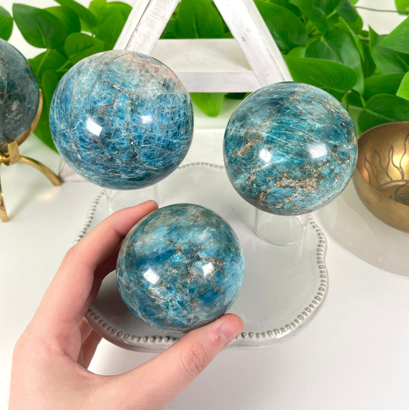three different blue apatite polished sphere weights on display in front of backdrop for size comparison with one in hand