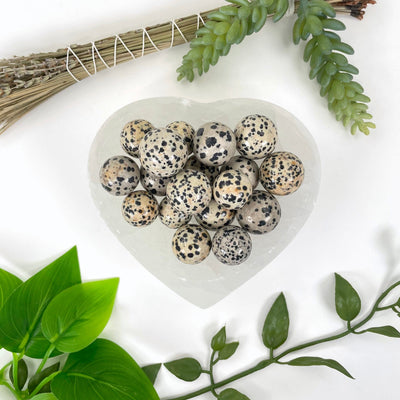overhead view of many dalmatian jasper spheres in a heart bowl for possible variations with plant decor around the edges of the frame