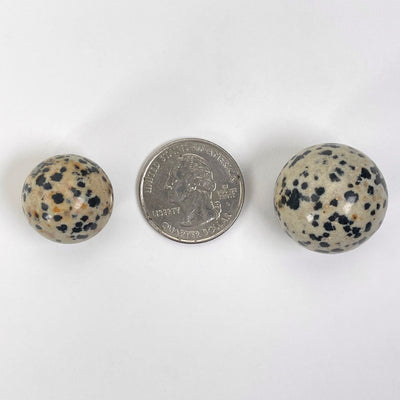 two dalmatian jasper spheres on white background with quarter for size reference