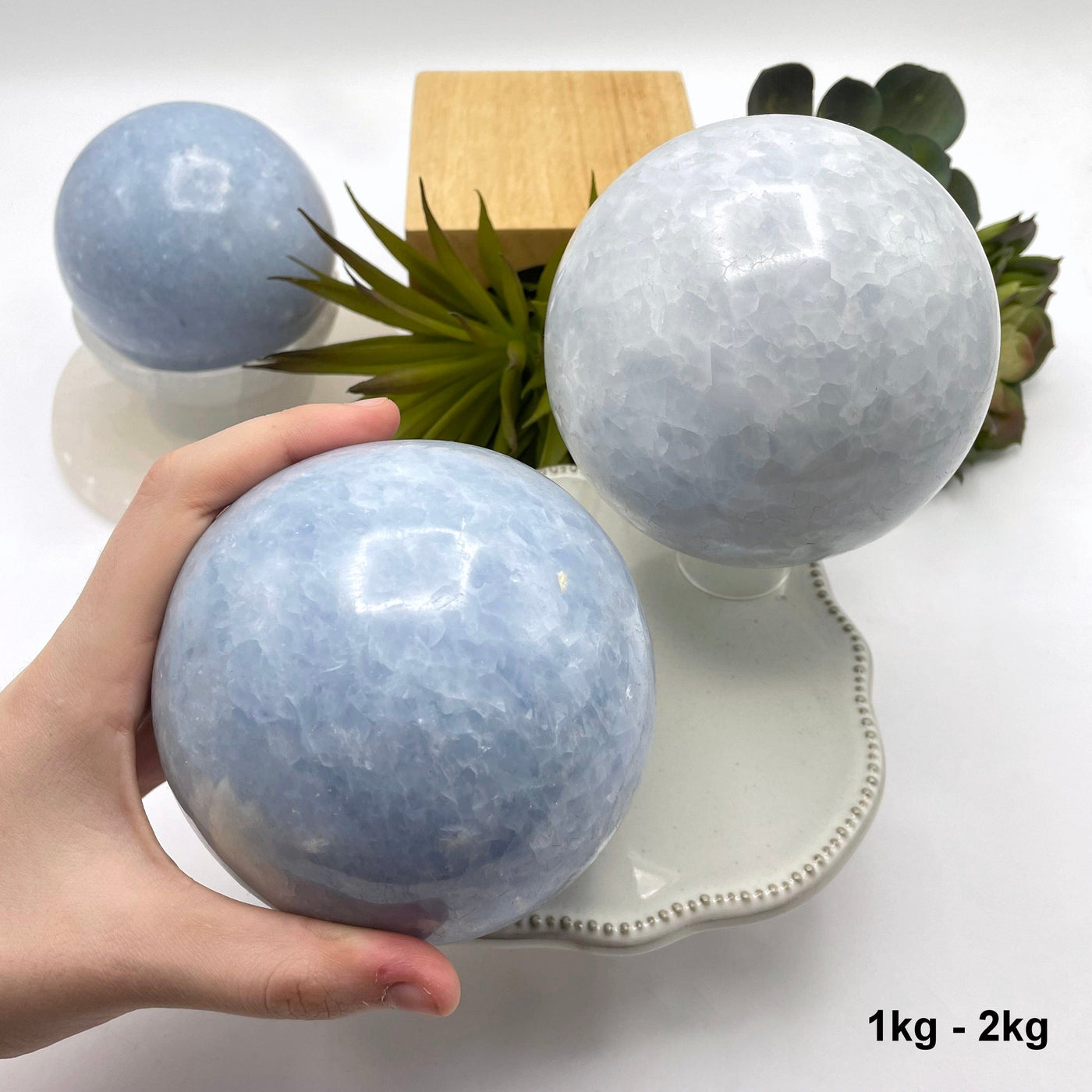 two 1kg - 2kg blue calcite spheres on display for possible variations with one in hand for size references