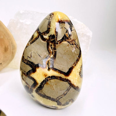 close up of a large septarian point with an opened druzy center 