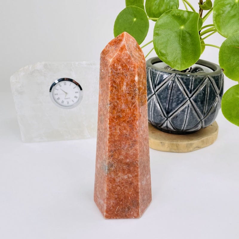 orchid calcite point set as home decor 