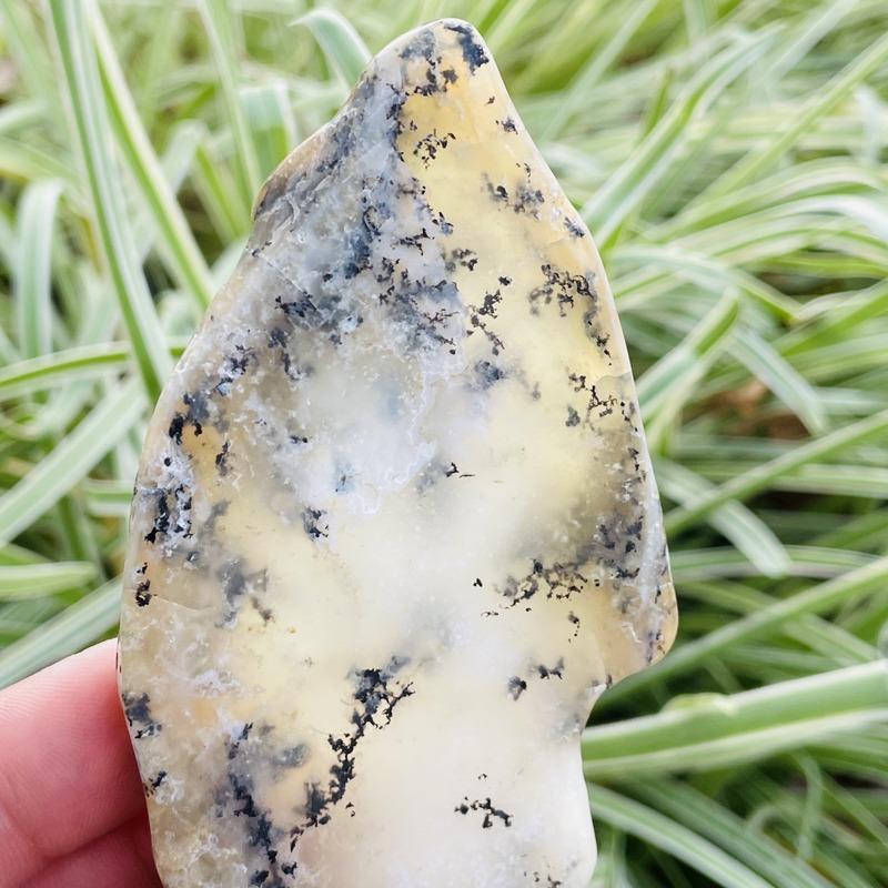 Close Up of Dendritic Opal Slab in Fingers on Grass Background.