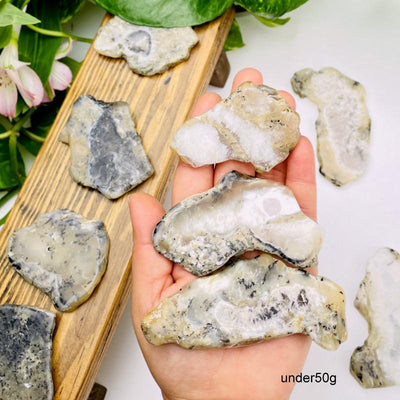 3 Dendritic Opal Slabs in Hand and 6 Around  on White Background.