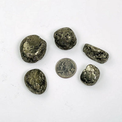 tumbled pyrite stones with quarter for size reference 