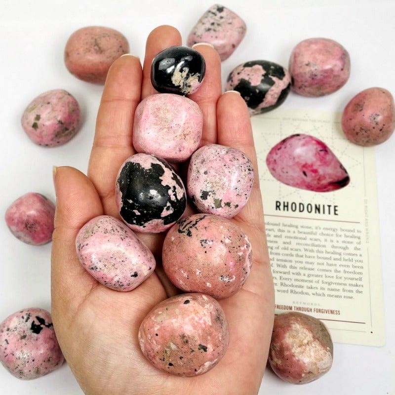 tumbled rhodonite stones on hand with white background 