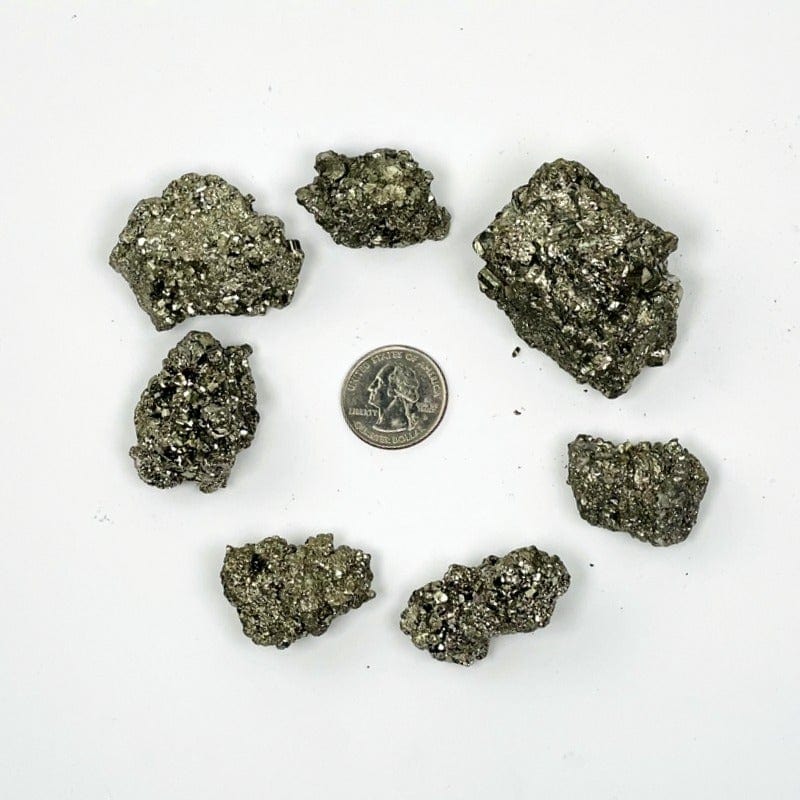 pyrite stones with a quarter for size references 