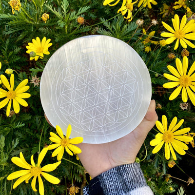 close up of selenite flower of life engraved plate in hand for size reference and engraving details