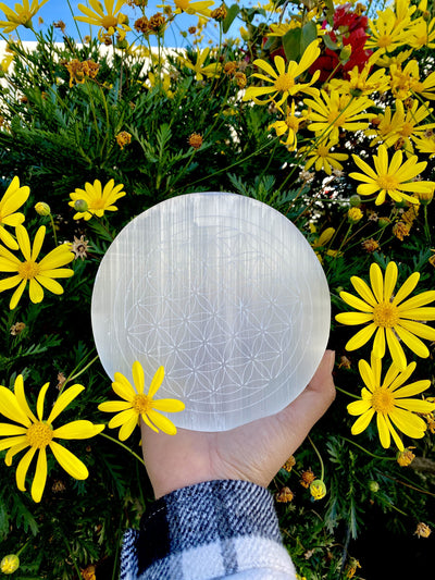 selenite flower of life engraved plate in hand for size reference