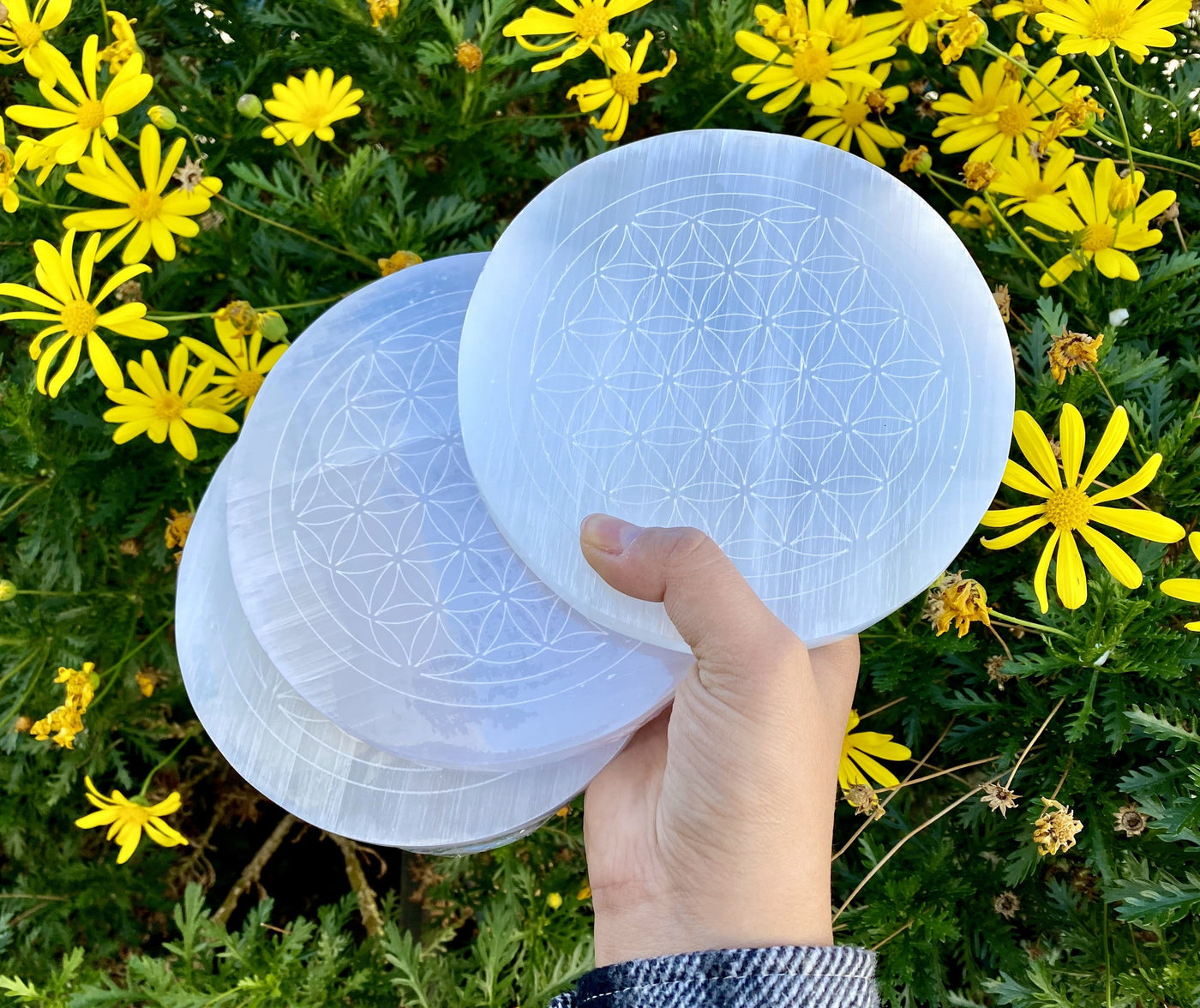 many selenite flower of life engraved plates in hand for possible variations
