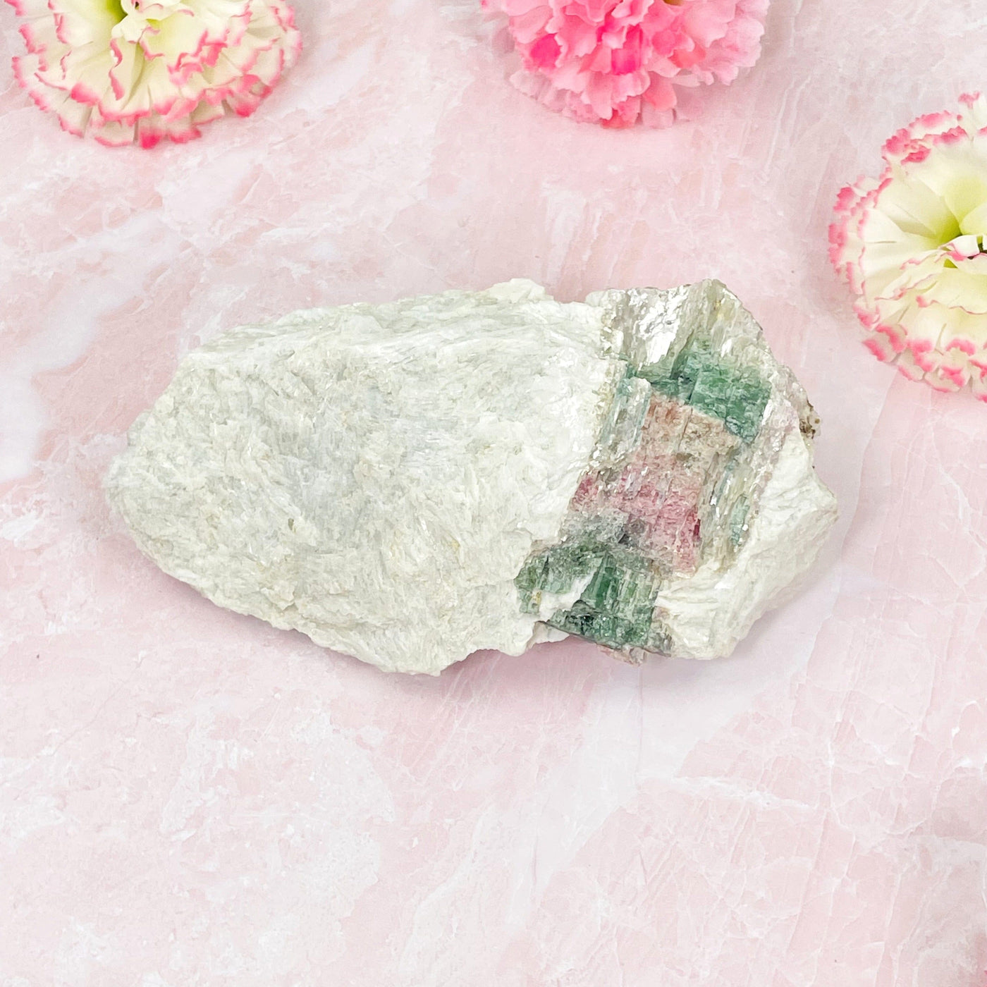 overhead view of water tourmaline on a pink background