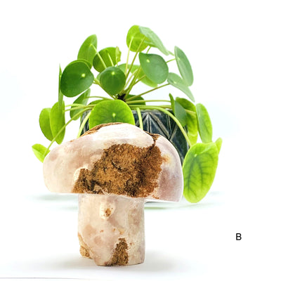 Front side of option B - Pink Amethyst Mushroom