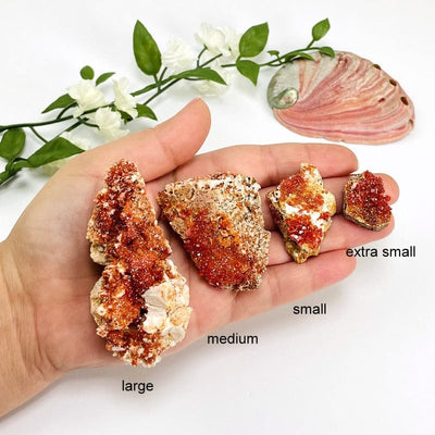 Natural Vanadinite - in a hand showing sizes