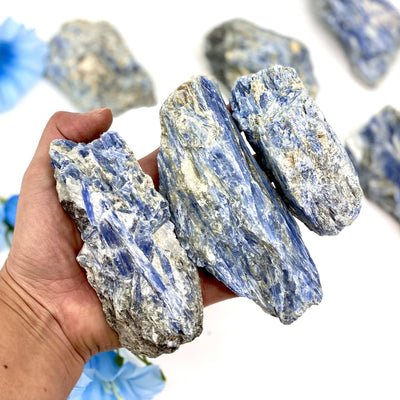 natural blue kyanite clusters in hand for size reference