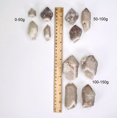 points displayed next to a ruler for size reference and their weight in grams