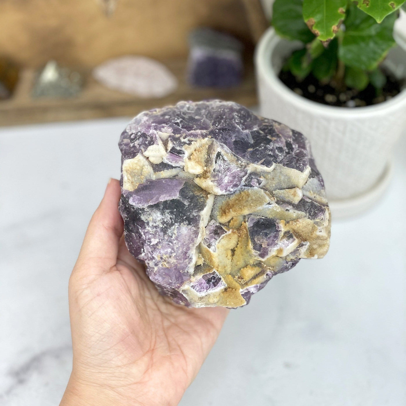 hand holding up Amethyst Cluster with Calcite Formation with decorations in the background