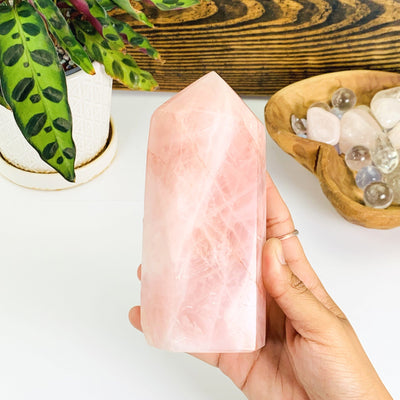 Hand holding the Rose Quartz Polished Tower