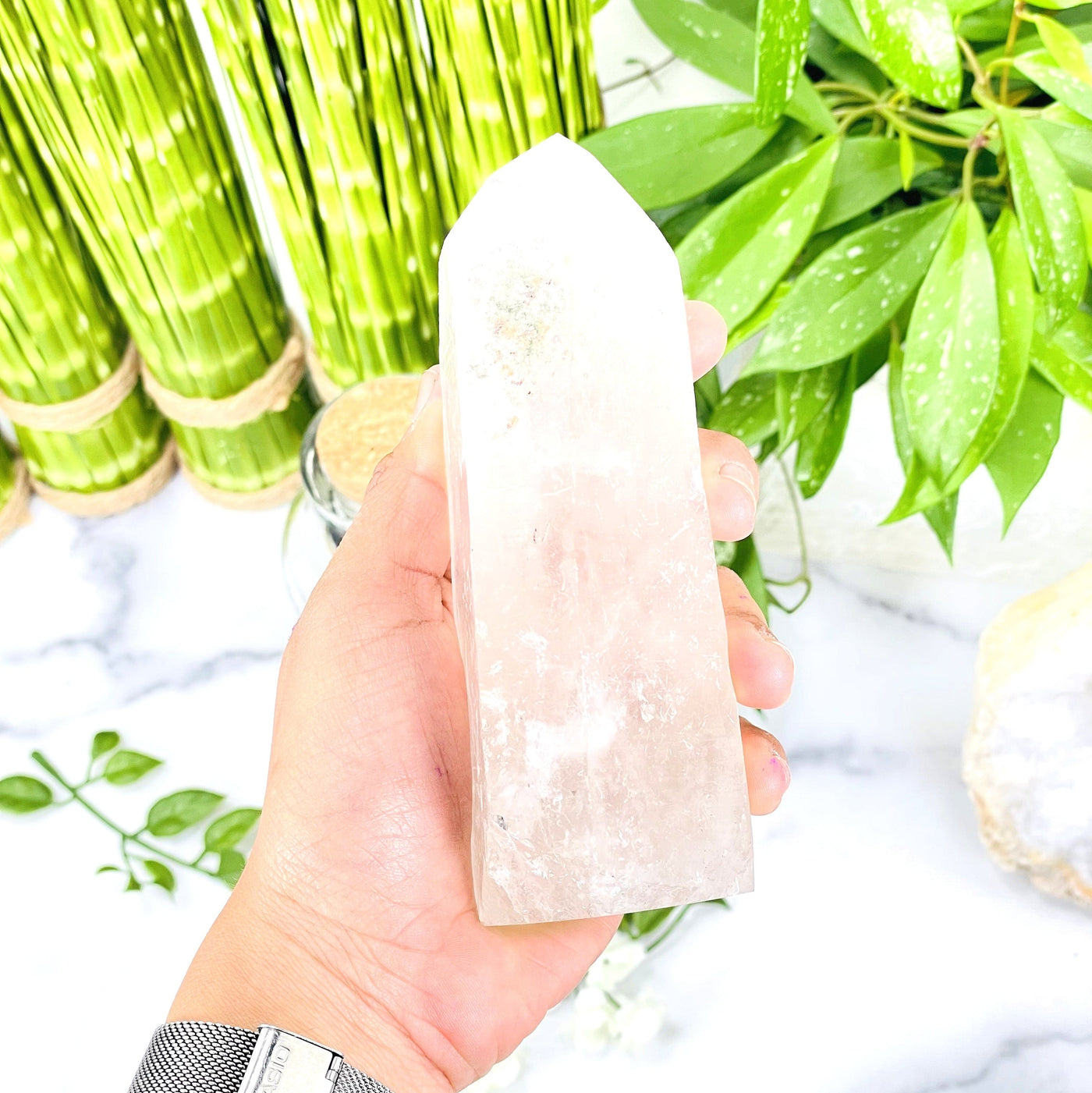 hand holding up Crystal Quartz Point with plants in the background