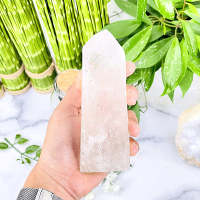 hand holding up Crystal Quartz Point with plants in the background