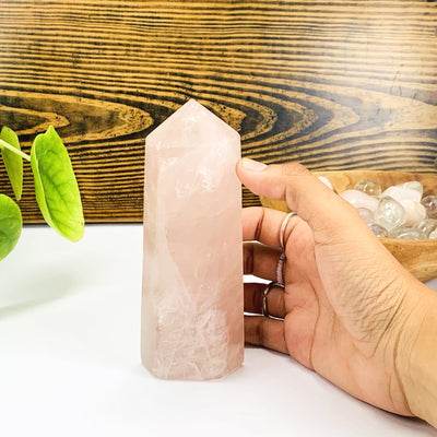 Hand comparing size to the Rose Quartz Polished Tower