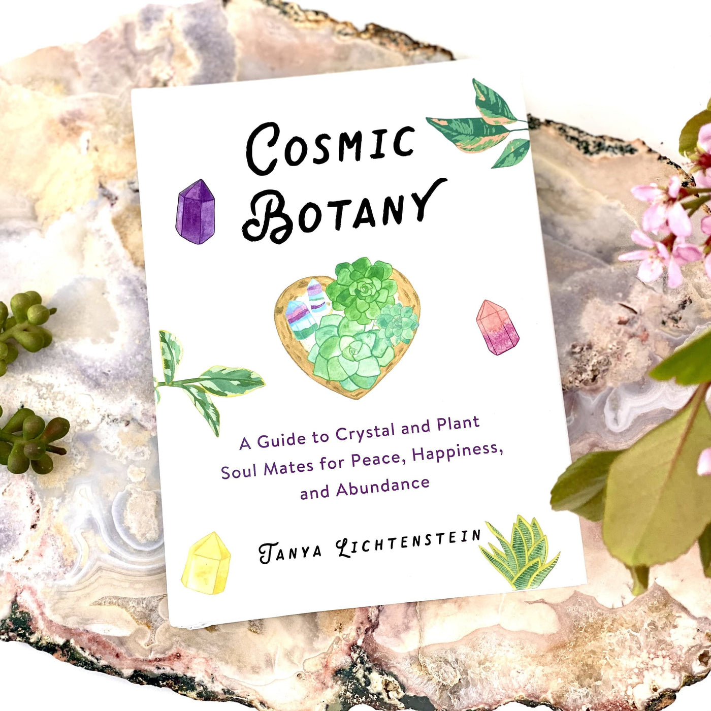 Cosmic Botany Book on agate slice
