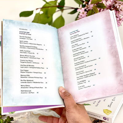 Cosmic Botany Book opened to table of contents