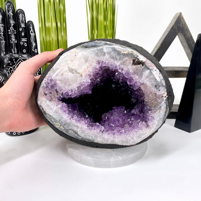 front of amethyst round cave geode on display in front of backdrop with hand for size reference