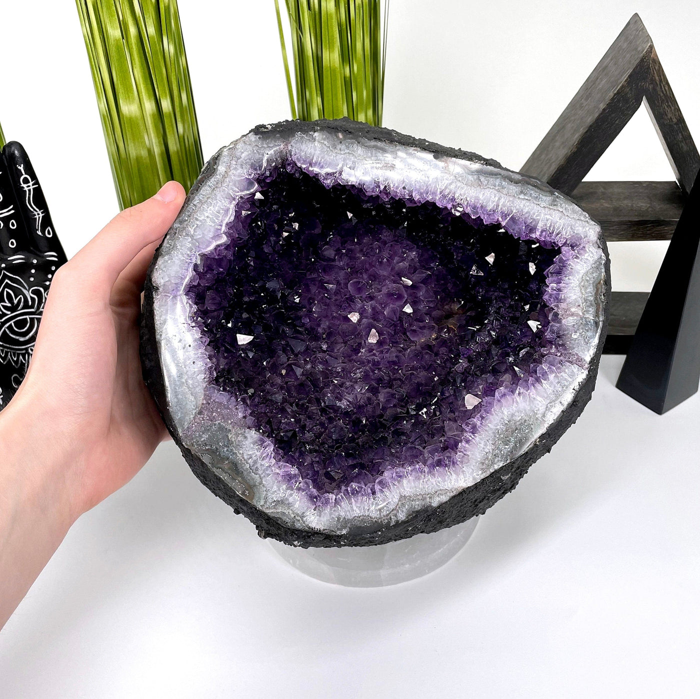 front of amethyst round cave geode on display in front of backdrop with hand for size reference