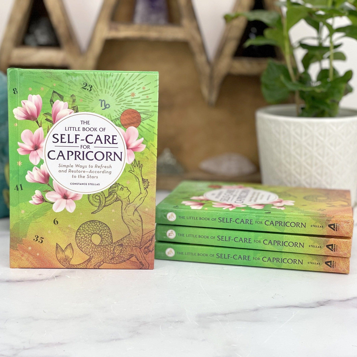 4 books of Self-Care for Capricorn
