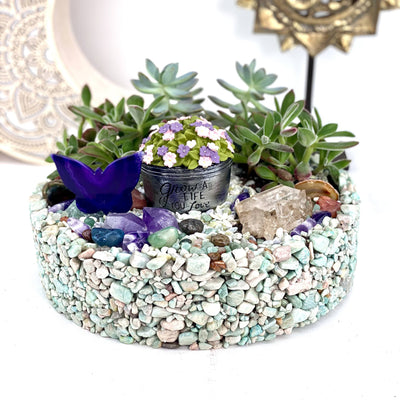 Tumbled Stone Bowl  - garden in bowl