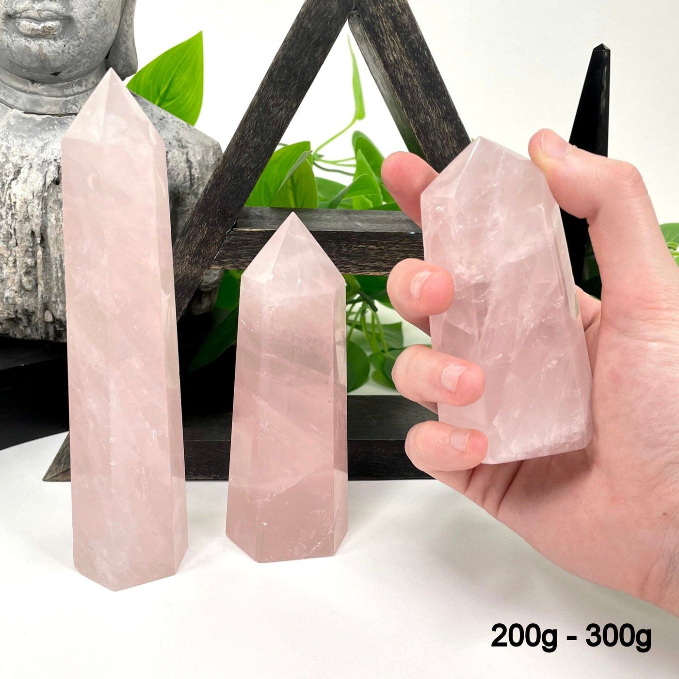 two 200g - 300g rose quartz polished points in front of backdrop for possible variations with one other in hand for size reference