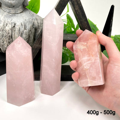 two 400g - 500g rose quartz polished points in front of backdrop for possible variations with one other in hand for size reference