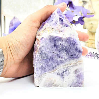 A hand photo reference of the Chevron Amethyst Point on white background