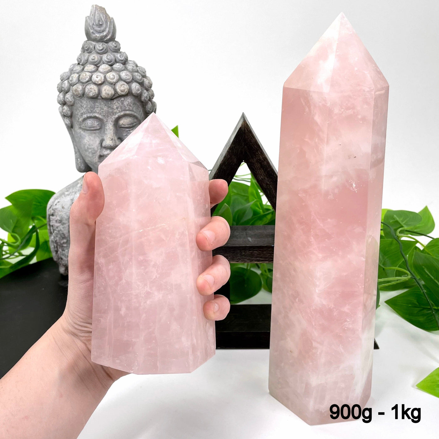 one 900g - 1kg rose quartz polished points in front of backdrop for possible variations with one other in hand for size reference
